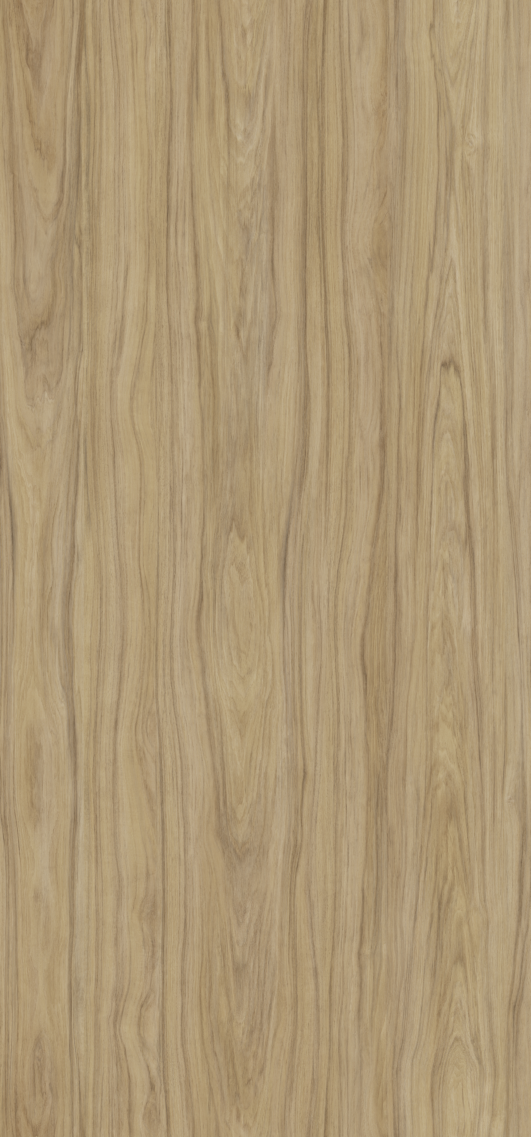 RC 957 Illinois Pecan